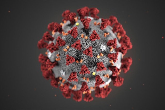 Un equipo del Instituto de Virología e Inmunología de la Universidad de Berna (Suiza) dirigido por el profesor Volker Thiel, ha logrado por primera vez crear un clon sintético del virus. Este avance acelerará el desarrollo de vacunas y tratamientos contra la enfermedad de Covid-19 causada por el nuevo coronavirus. El método permite a los investigadores desactivar genes individuales del virus Covid-19 y lograr una vacuna más rápidamente.