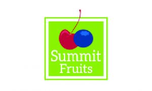 Summit Fruits - Camara chileno - suiza de comercio