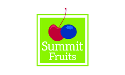 Summit Fruits - Camara chileno - suiza de comercio