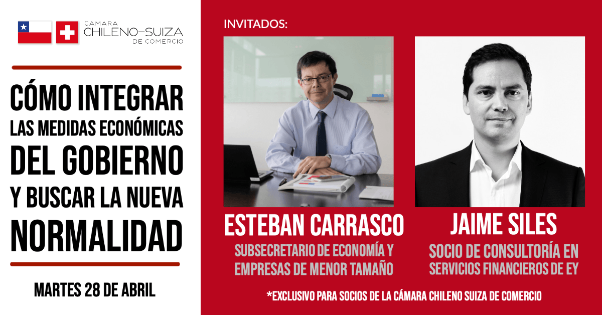 Webinar con el subsecretario de Economía, Esteban Carrasco