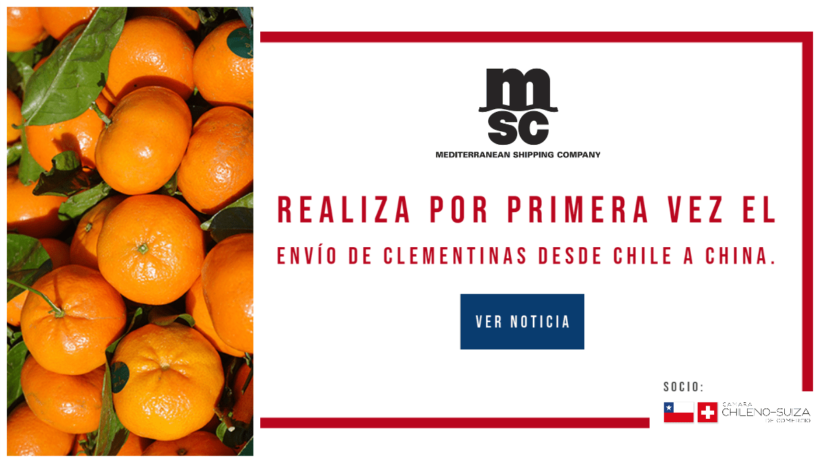 MSC, socio de la Cámara Chileno Suiza, realiza por primera vez el envío de Clementinas desde Chile a China.